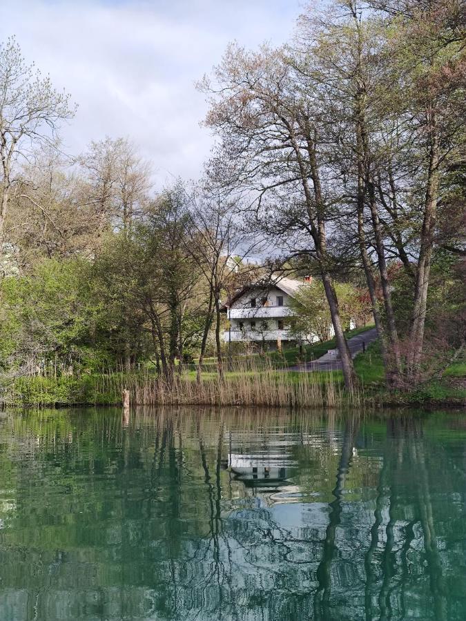 Lake House Sebanc Bled Exterior photo
