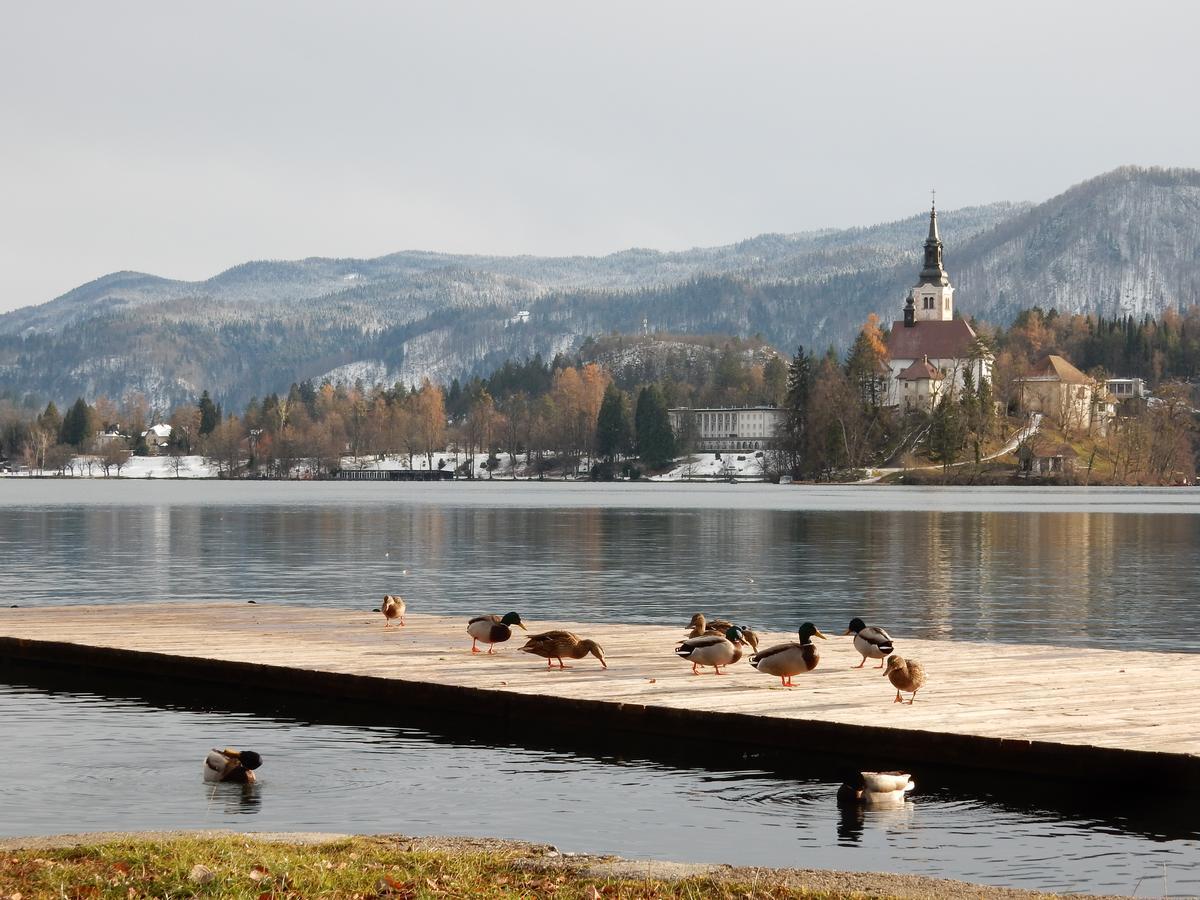 Lake House Sebanc Bled Exterior photo